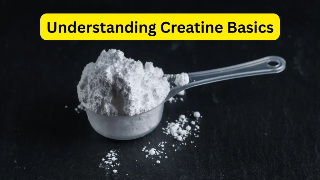 Understanding Creatine Basics