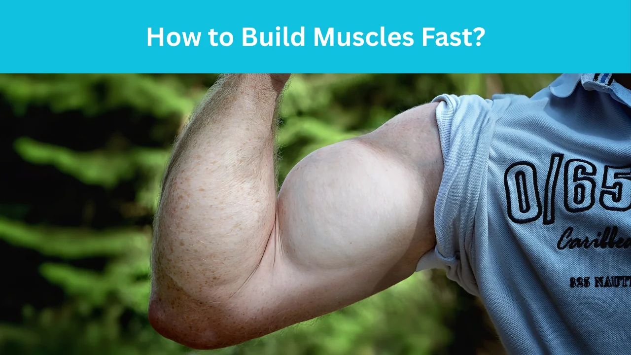 How to Build Muscles Fast