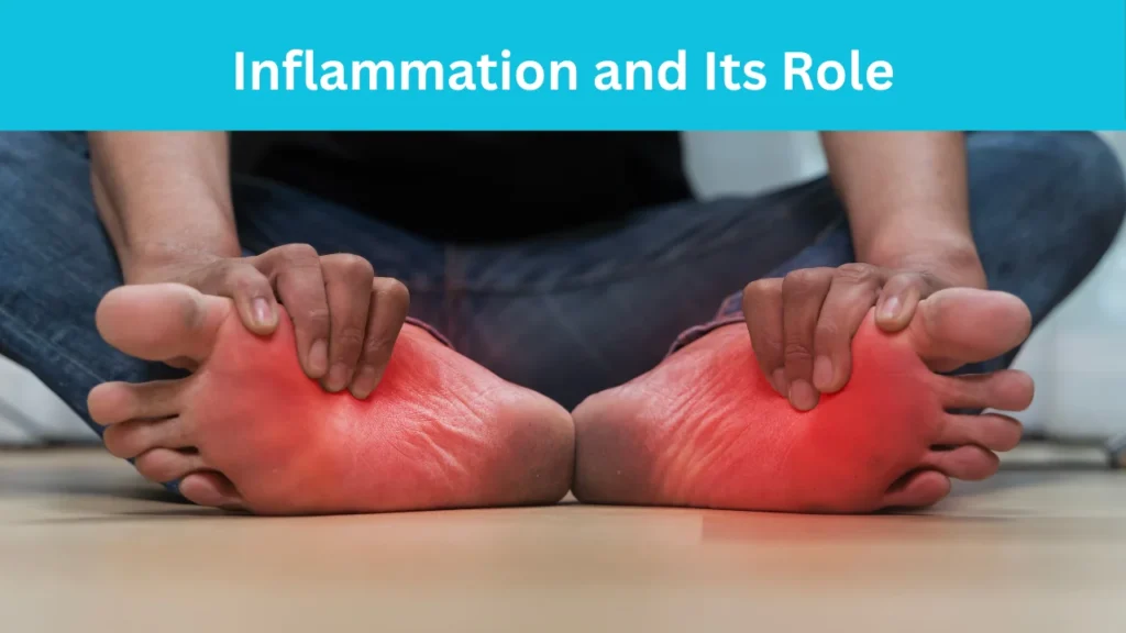 Inflammation and Its Role