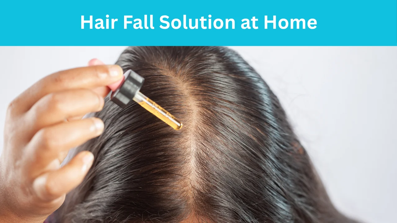 Hair Fall Solution at Home